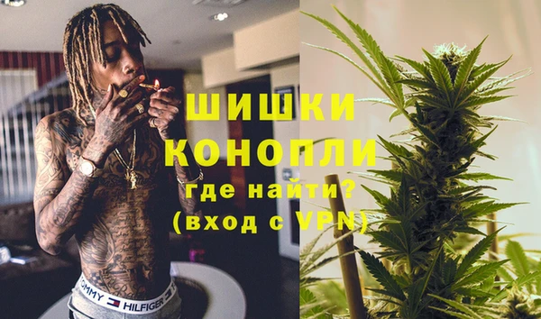 индика Алексеевка