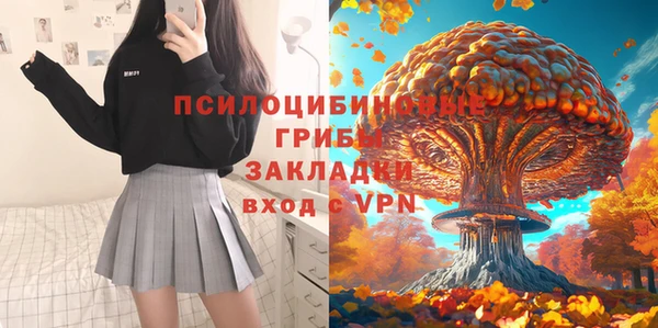 индика Алексеевка