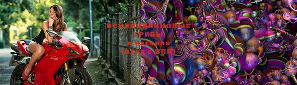 трава Алексин