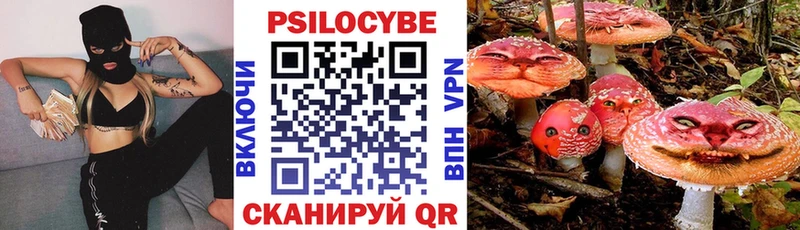 сколько стоит  Кувшиново  Псилоцибиновые грибы Magic Shrooms 